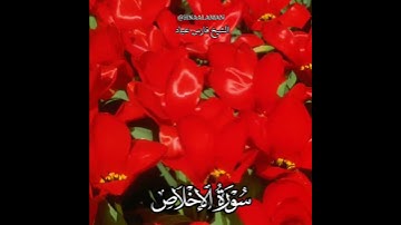 سورة الإخلاص | الشيخ فارس عباد،استغفر الله العظيم واتوب اليه، تلاوه خاشعه