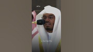 سورة الكافرون للشيخ ياسر الدوسري 🤍#quran