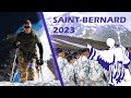 Saint bernard 2023