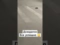 Ёжик на пешеходном переходе. пдд #ёжик #пдд #видео #топ