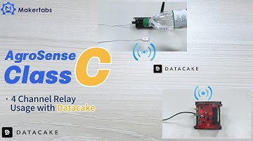 Agrosense 4-Channel LoRaWAN Relay + Datacake | Smart Remote Control & Monitoring!