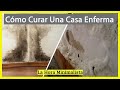 💀 Como CURAR una CASA ENFERMA: la ENERGÍA y EMOCIONES detrás de Moho, Humedad, Grietas y el DESORDEN