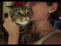 Как кот встречает хозяев после отпуска; How cat greets owners after vacation