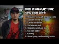 Download Lagu PUISI PENGANTAR TIDUR TAHUN 2022, Kumpulan puisi Karya Elliyas Zulkifli @KAMPUNG LANGIT