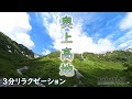 【癒しゆったり3分リラクゼーション】奥上高地の贅沢な自然を