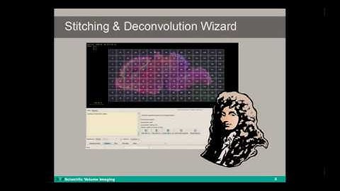 Stitching in Huygens | Webinar