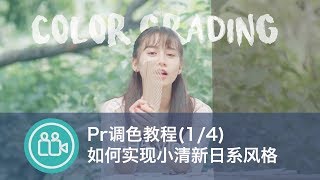 [后期]pr调色系列1/4: lumetri面板与日系小清新色调