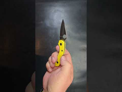 Spyderco Dragonfly Full????soon!