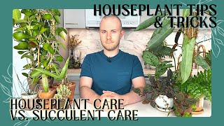 Houseplant Care VS  Succulent Care | Houseplant Tips & Tricks Ep. 12