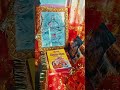 #tara chandi dham ho gayil 💫#golu raja ka song#devi geet✨️ #navratri2025 💫#shortvideo #trending💫❤️❤️