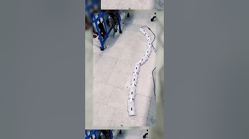 Snake Robot at IIT Guwahati || Mechatronics and Robotics Lab