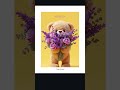 Happy teddy day 10 feb 2026🧸..