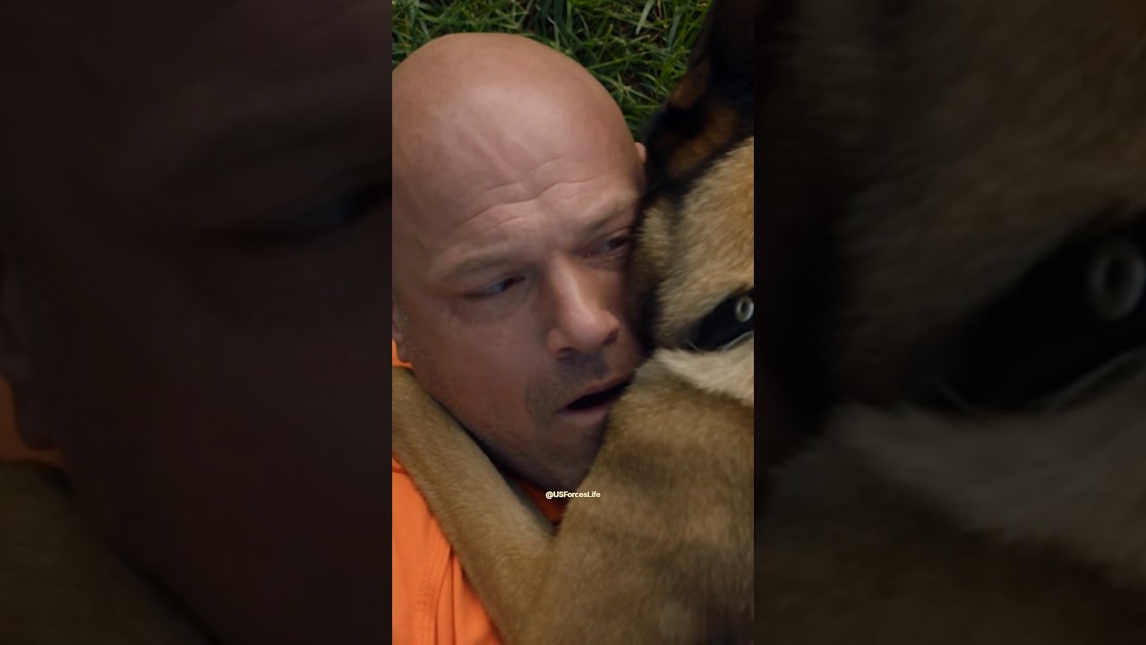 K9 Charged a Chained Prisoner… Then Started Crying 😳 #shorts #usaarmy #usashorts #usa