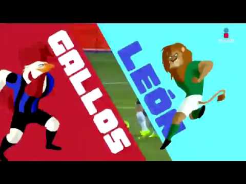 Sábado de futbol: Gallos reciben a la Fiera liga mx salaries