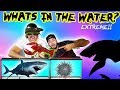 WHATS IN THE WATER CHALLENGE! (REAL LIVE ANIMALS) | MOE SARGI