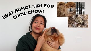 How to Prevent your Dogs from MATTING - CHOW CHOW EDITION - Iwas Buhol Tips (Vlog#75) by funneimom 988 views 1 year ago 12 minutes, 49 seconds