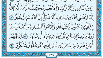 سورة فاطر / فضيلة الشيخ صلاح البدير