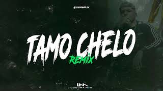 TAMO CHELO ( Remix ) ✘ El Noba ⚡ LOCURA MIX