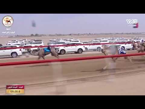 ش1 الكأس المفتوح ختامي الوثبة 2023 الحقايق قرار ل سهيل بالرملي محمد العامري ت 05 44 6