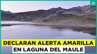 Decretan Alerta Amarilla para complejo volcánico Laguna del Maule