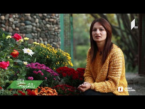 #არტიშოკი მადონა რევაზიშვილი - ახალგაზრდა მეყვავილე სოფელ ვაშლოვანიდან