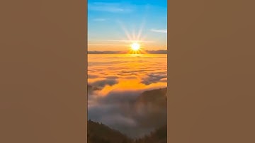 آيات القرآن الكريم سورة ياسين🌹 #القرآن_الكريم