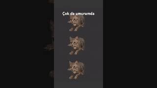 14 Eylül 2025 Resimi