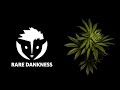 Rare Dankness & House of Dankness Cannabis - Scott Reach (S1E6: Canna Cribs, Denver, CO)