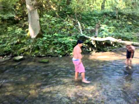 Video: Schönes Fischpool in Postojna, Slowenien