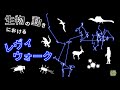 阿部真人博士【第7回】「生物の動きにおけるレヴィウォーク」【デジタル進化生物セミナー】