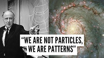 The Information Universe: We Are Patterns, Not Particles
