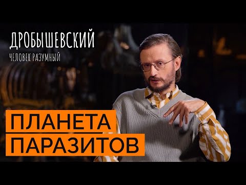 Видео: От каких паразитов страдали наши предки? / «Дробышевский. Человек разумный»