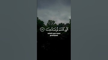 القارئ: ناصر القطامي، سورة فصلت،رقم الايات: ٣٠-٣١.