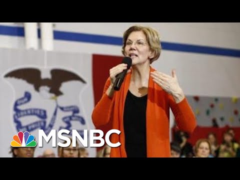 Morning Joe's Praise Of Elizabeth Warren’s Campaign | Morning Joe | MSNBC