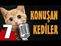 Konuşan Kediler 7 - En Komik Kedi Videoları
