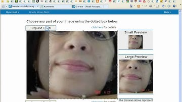 Embed Your Gravatar In Blogs, Forums ... Wherever You Leave A Comment
