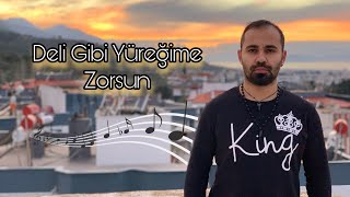 Onur Erdoğan  Deli Gibi Yüreğime Zorsun (Yiğit Mahzuni) Resimi