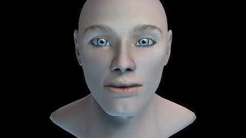 Human Head - 3D Model - Orbital Animation