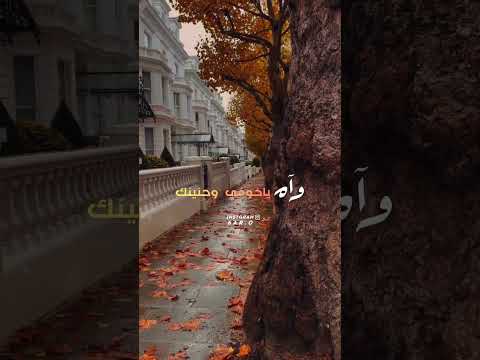 اغنية صدفة يا حلوها