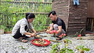 A Peaceful And Warm Day For Man And Bao After All The Troubles They Had Been Through