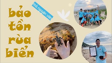 tình nguyện viên bảo tồn rùa biển | vườn quốc gia Núi Chúa | Hero House