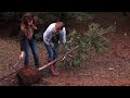 I Million Tees: Planting Redwoods