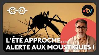 Download Lagu Moustiques : Piqûres, prévention et secrets bien gardés ! - C chaud - C Jamy MP3