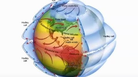 Large-Scale Atmospheric Mechanisms: Dr Dietmar Dommenget (June 2017)