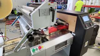 600S Cleaning sponge packaging machine