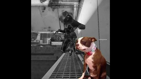 CODM Got me honestly 😭 #codm #codmcollateral #callofduty #codmobile