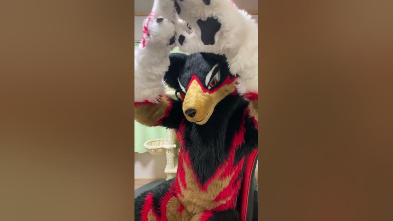 【獣化/fursuit#93】水曜のもふもふタイム🐾【ジュージュー】#獣化 #fursuit #shorts #Furtuber #雑談配信