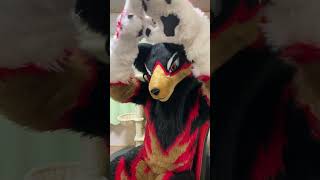 【獣化/fursuit#93】水曜のもふもふタイム🐾【ジュージュー】#獣化 #fursuit #shorts #Furtuber #雑談配信