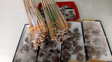 0913.260.614 zalo bán lưỡi câu lương, lưỡi câu vuông, lưỡi câu cá rô,lưỡi câu tôm, lưỡi câu cá chuối