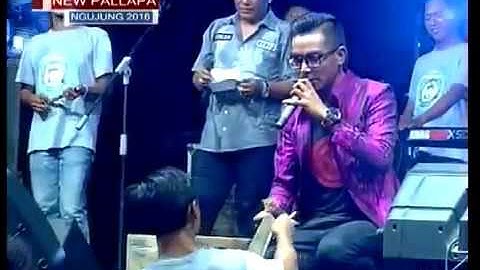 Gerry mahesa Pengadilan cinta - New Pallapa
